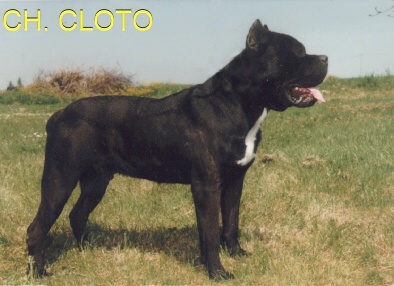 CH. Cloto (Sans Affixe)